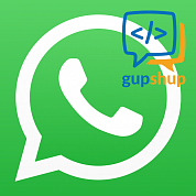 WhatsApp Business API Gupshup